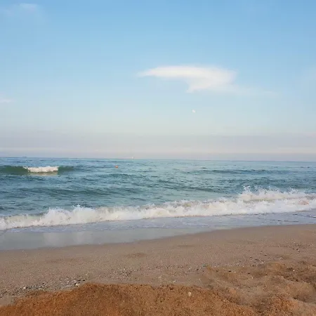 Arrina * Eforie Nord