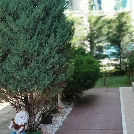 בית הארחה Arrina 4*